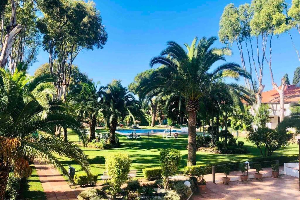 Puerto Banus Richi Suite マルベーリャ エクステリア 写真