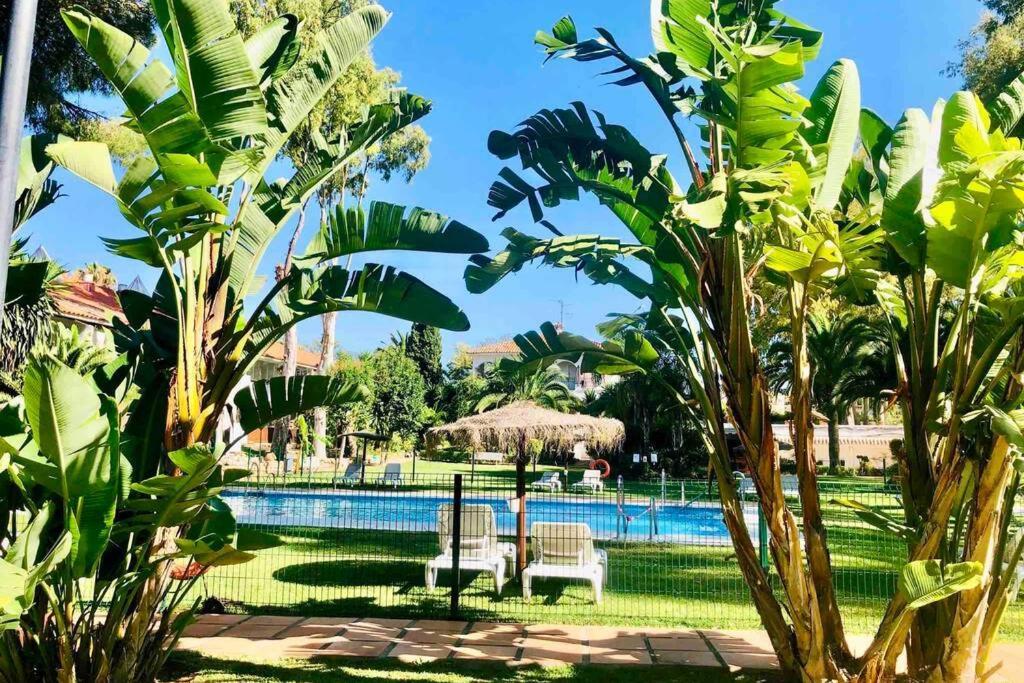 Puerto Banus Richi Suite マルベーリャ エクステリア 写真